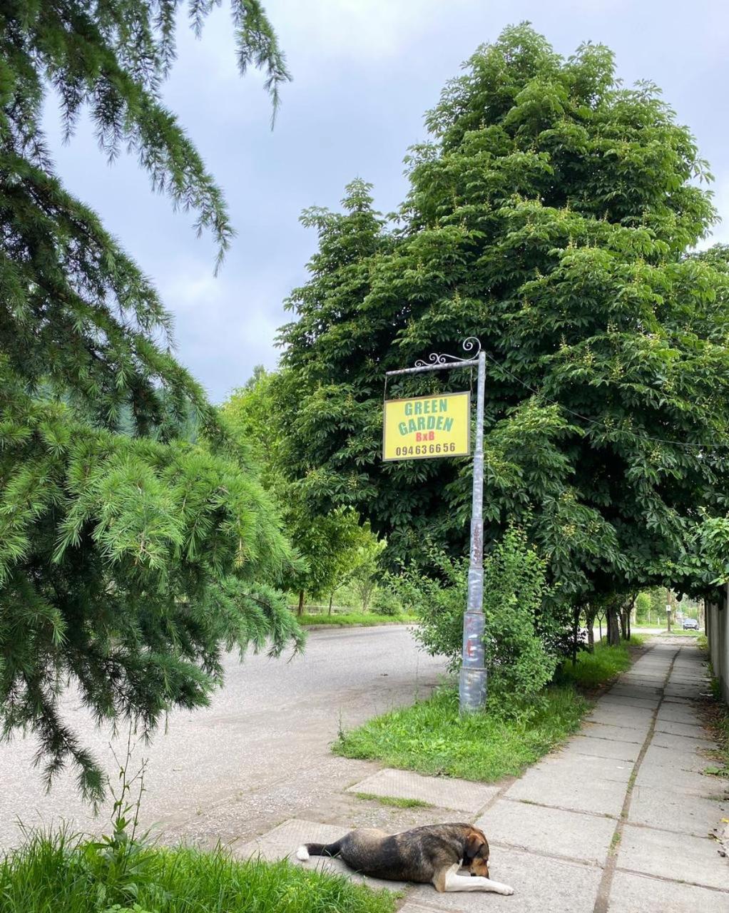 Green Garden B&B Dilijan Exterior photo